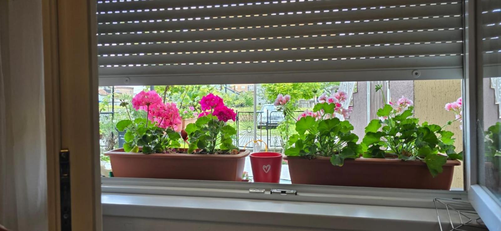 Apartman Tina Zágráb Kültér fotó